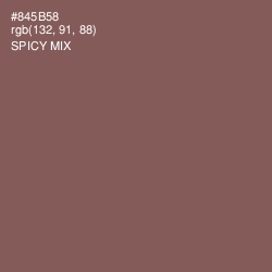 #845B58 - Spicy Mix Color Image